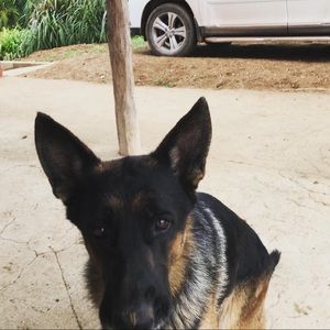 Meet your Posher, Guillermo